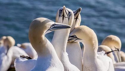 中证交易所绿色资产支持证券指数报145.07点