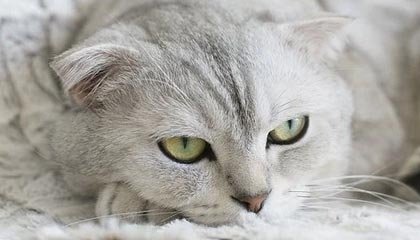 以太坊能否破5000美元?XBIT去中心化交易所如何助力投资者布局