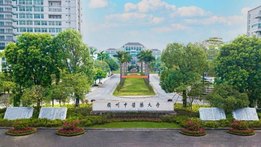 成人学历能考执业药师资格证吗附报名条件