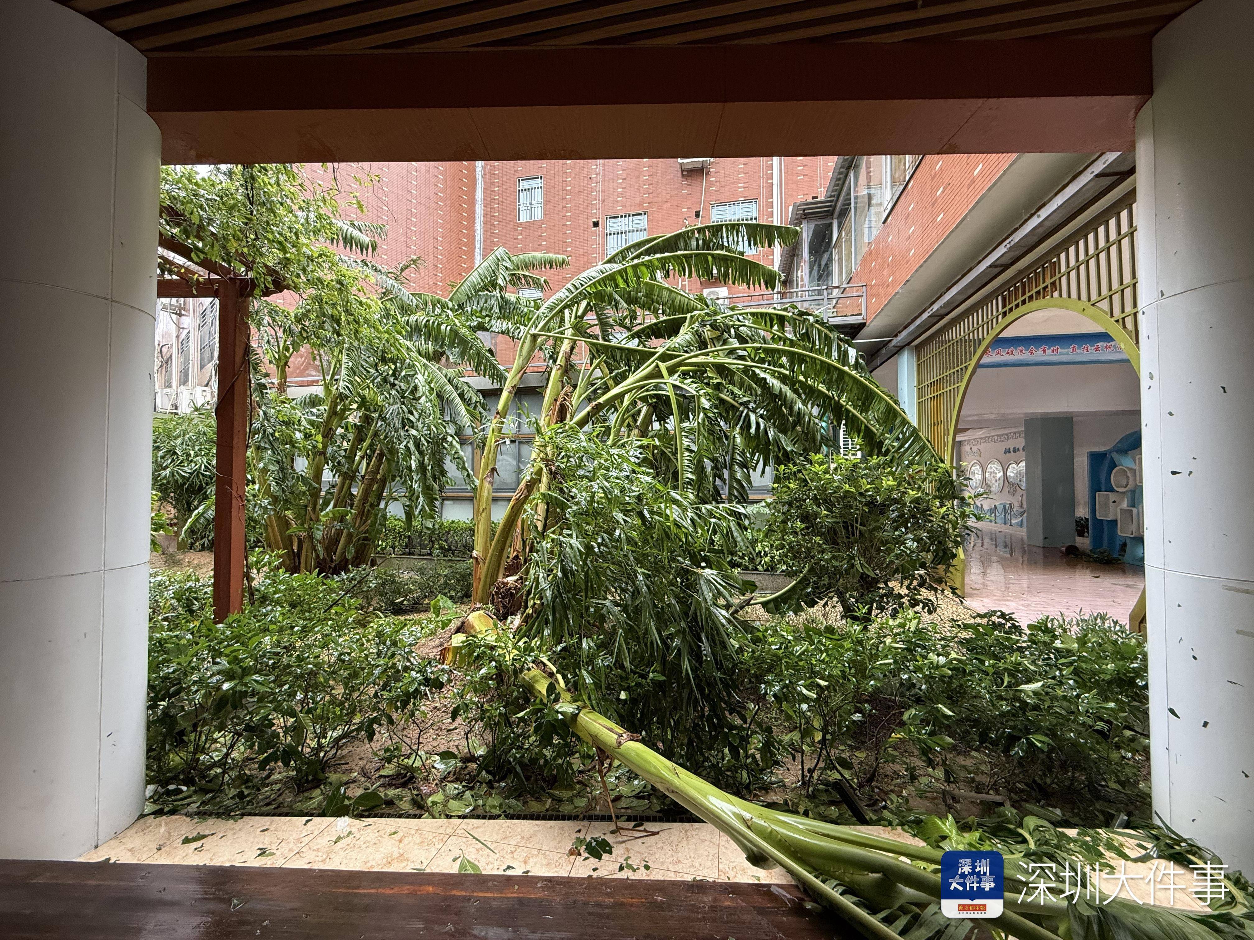 深圳已出现暴雨，最大累计雨量、最大1小时雨量均在大鹏南澳