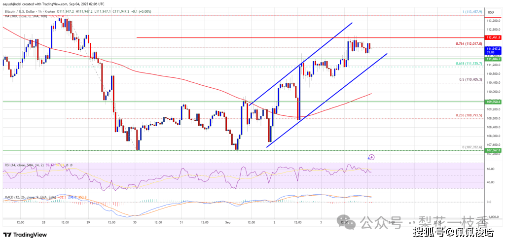比特币价格正在复苏——但势头却讲述了不同的故事?