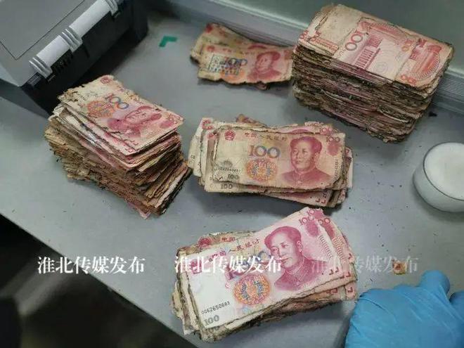 币村网(笔村旧改最新消息)