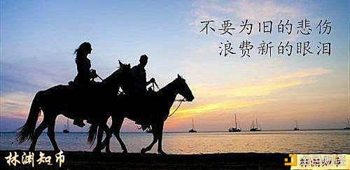 知币(知币网络科技)