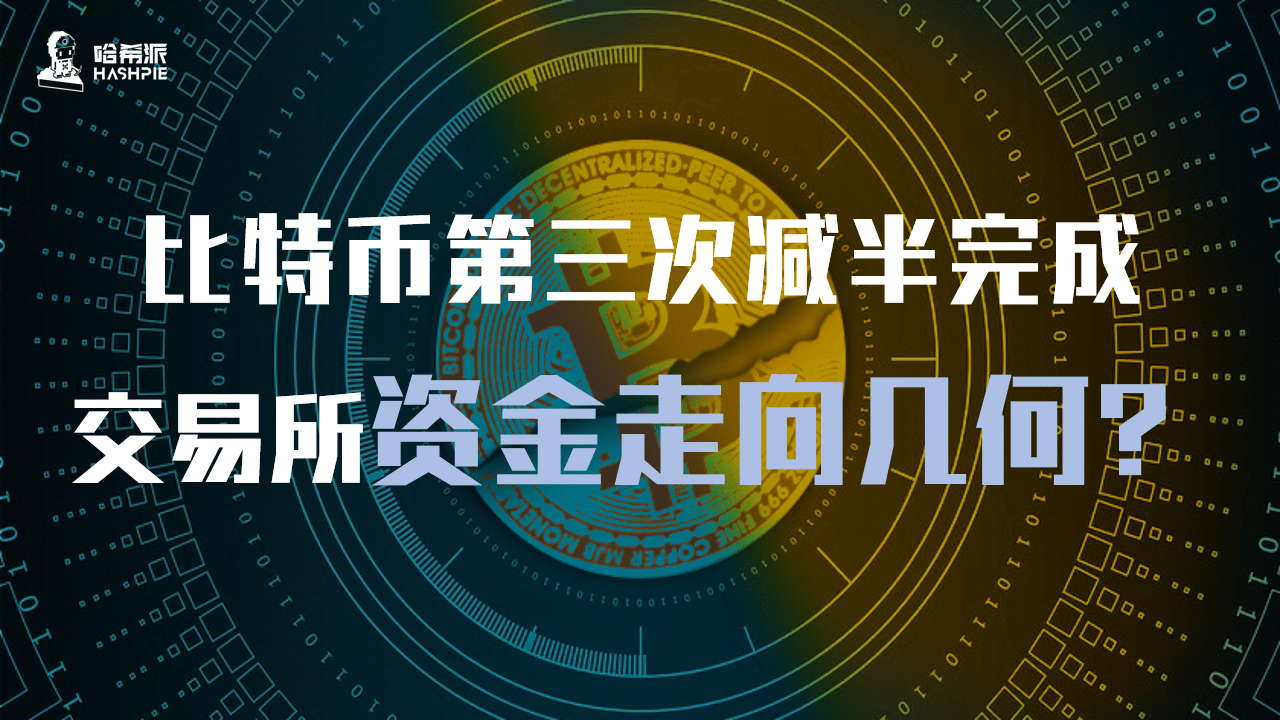 币巢交易所(币圈交易所平台币)