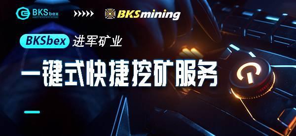 关于bzcash交易平台的信息
