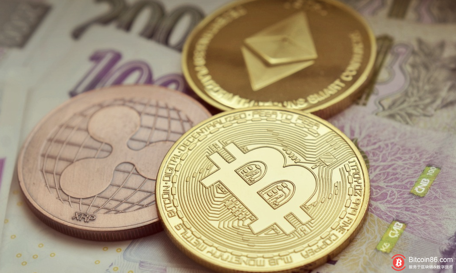 关于百币网交易平台的信息