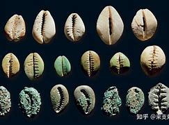 全币(全币种visa信用卡)