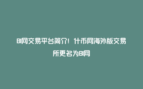 什币网交易平台的简单介绍