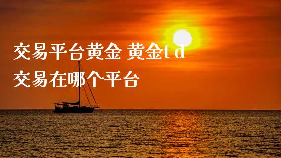 d网交易平台(d网数字交易所)