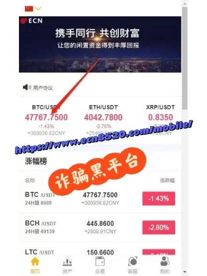 炒平台币(平台币骗局)